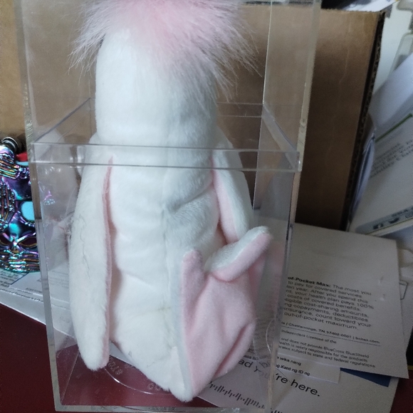 Kuku - Picture 3 of 4